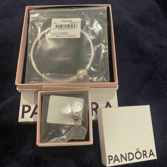 BNIB Pandora “Sisters” charm and bracelet - Picture 3 of 4